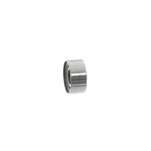 SKF Rola ghidare/conducere, curea distributie