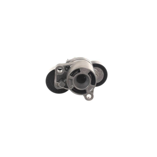 SKF Intinzator curea, curea distributie