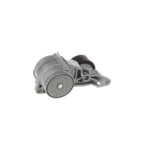SKF Intinzator curea, curea distributie