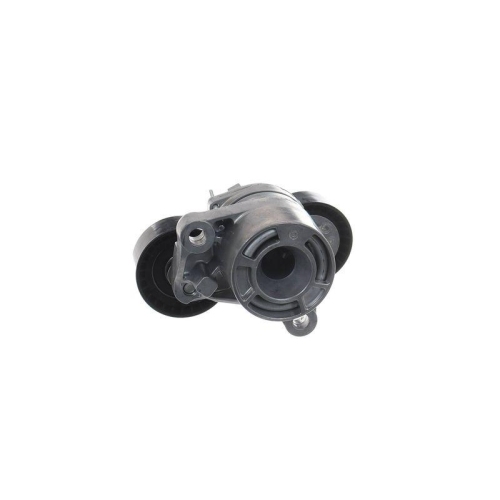 SKF Intinzator curea, curea distributie