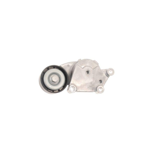 SKF Intinzator curea, curea distributie