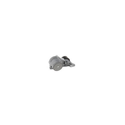 SKF Intinzator curea, curea distributie