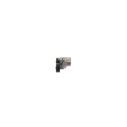 SKF Intinzator curea, curea distributie