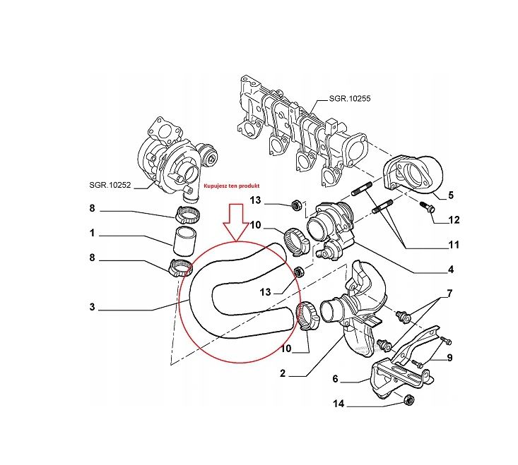 Furtun intercooler, supraalimentare Citroen Jumper 2002-2006; Fiat Ducato 2002-2006; Peugeot Boxer 2002-2006, diametru 54/54 mm, cauciuc, RapidAuto 5704PT-4