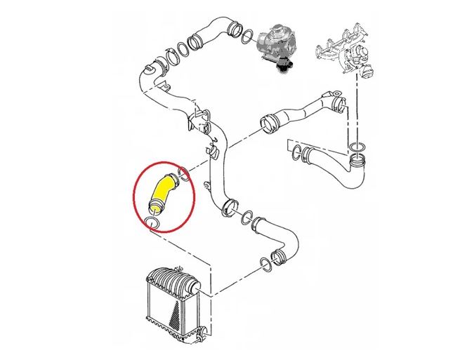 Furtun intercooler, supraalimentare Audi A3 1996-2003; Seat Leon 1999-2005, Toledo 1999-2005; Skoda Octavia 1996-2010; Vw Bora 1998-2005, Golf Iv 1997-2003, cauciuc, RapidAuto 6722PT-3