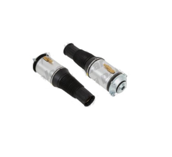 Modul suspensie aer Audi A8 (4e2, 4e8), 10.2002-12.2010, Parte montare Fata, RapidAuto 1329MP2P Modul suspensie aer Audi A8 (4e2, 4e8), 10.2002-12.2010, Parte montare Fata, RapidAuto 1329MP2P