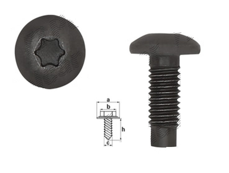 Surub fixare M8 BMW Seria 6/6 GC (F08/F12/F13), Citroen BERLINGO XSARA PICASSO, MINI, Opel MOVANO, Peugeot 307 405 PARTNER, Renault MASTER, multe aplicatii, 5 buc/set, multe aplicatii