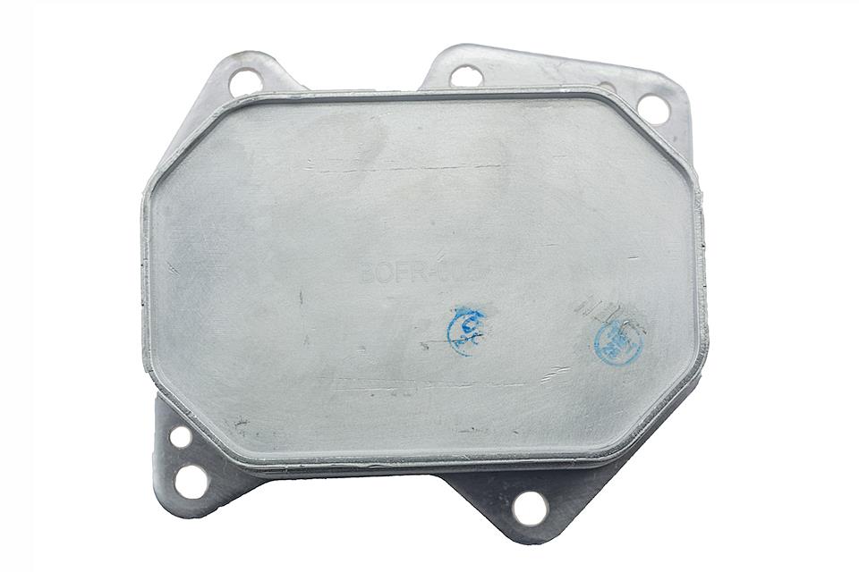 Radiator ulei motor, Termoflot Ford Transit 2.2tdci 2006-, Tractiune Fata, NTY CCL-FR-001