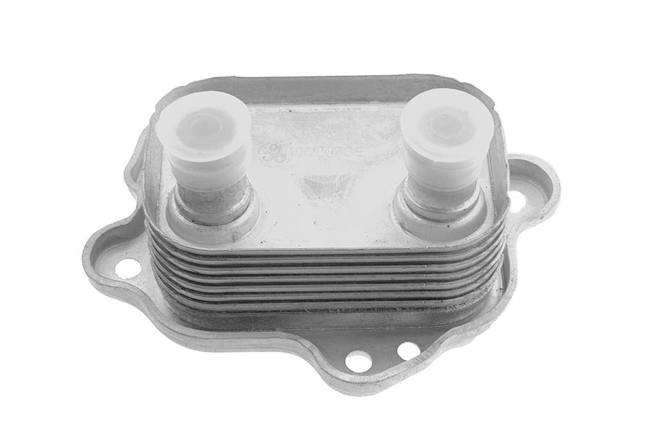 Radiator ulei motor, Termoflot Mini Cooper S 1.6 2002-, NTY CCL-BM-006