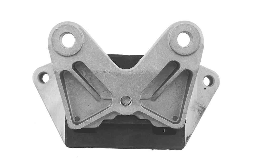 Suport motor Ford Transit 2000-2013, Spate, NTY ZPS-FR-027