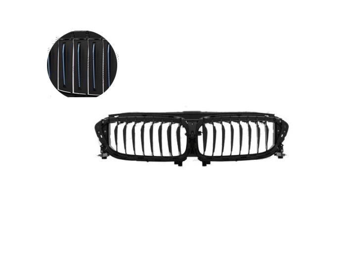 Grila radiator BMW Seria 5 (G30/G31), 05.2017-, fata, negru/negru; intern