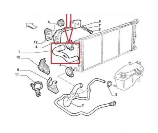 Furtun radiator, FIAT SEICENTO/600, 01.1998-01.2010 motor 1,1 benzina, Cauciuc,
