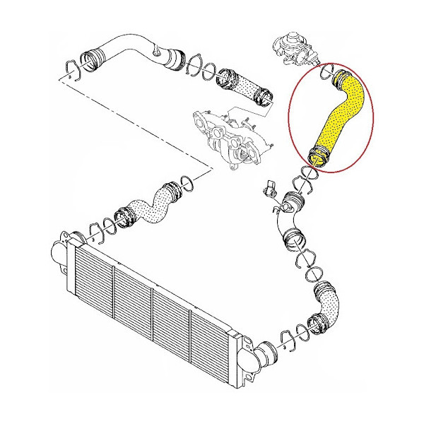 Furtun intercooler, VOLKSWAGEN TRANSPORTER T5, 01.2006-11.2009 motor 1.9 TDI, Cauciuc,