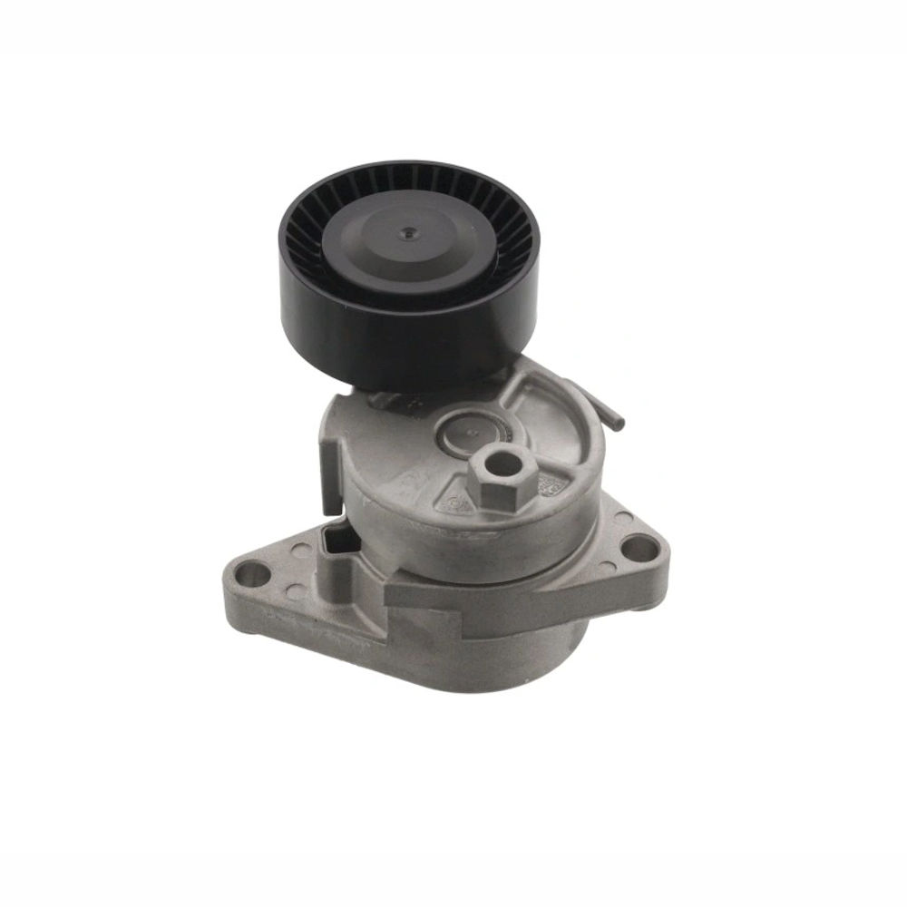 Intinzator Bmw Seria 3 (E46), 1998-2005, Seria 5 (E39), 1995-2003, Seria 7 (E38), 1994-2001, X5 (E53), 2000-2007, Zseria 3 (E36), 1995-2003, Z3 (E36), 1997-2003, Z4 (E85), 2003-2009, INA
