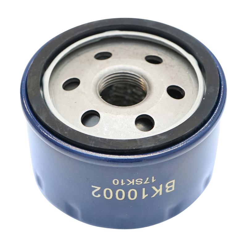 Filtru ulei Dacia Solenza si Papuc 1.9 Diesel F8Q