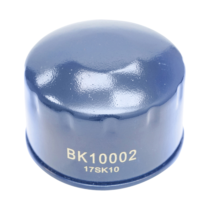 Filtru ulei Dacia Solenza si Papuc 1.9 Diesel F8Q