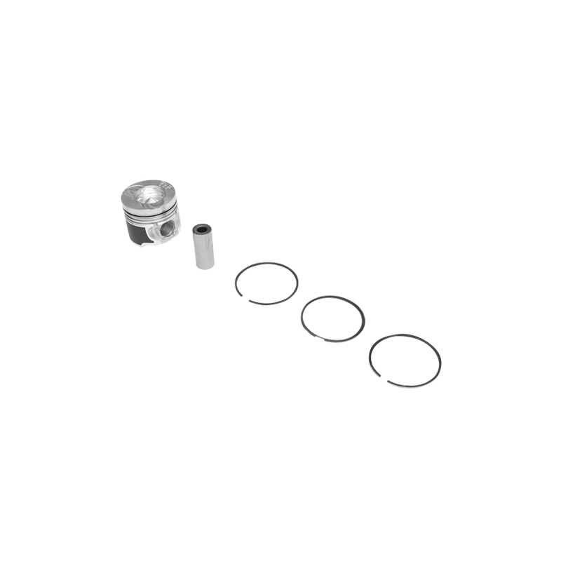 Piston motor echipat pentru Dacia Papuc 1.9D R1 59683681