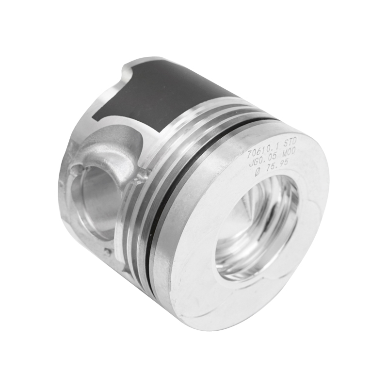 Piston motor echipat pentru Dacia Papuc 1.9D R1 59683681