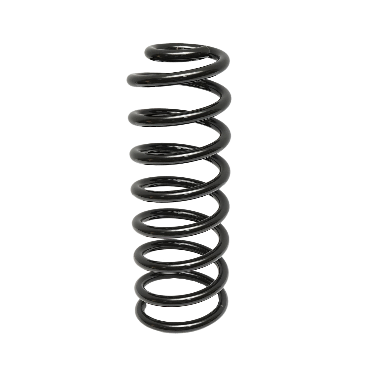 Arc spate Dacia Logan 6001547493