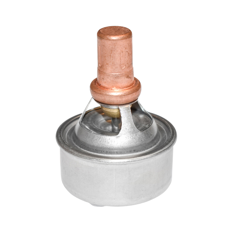 Termostat pentru Dacia 7700522328