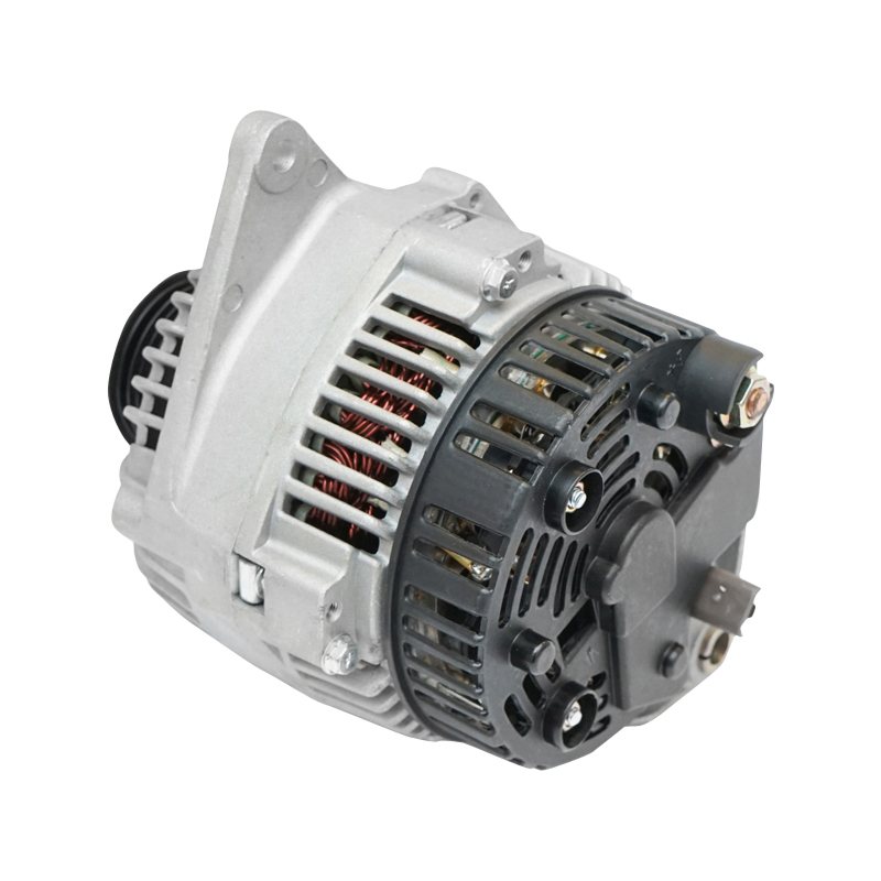 Alternator pentru Dacia Papuc 1.9D 110 Ah 8200193100