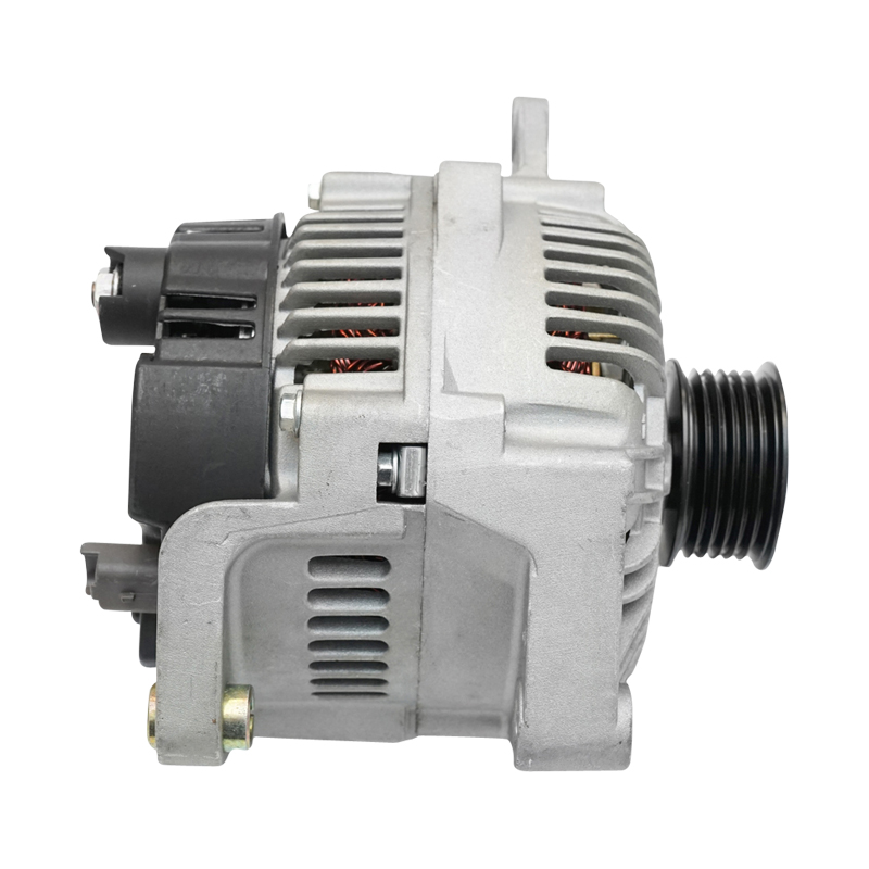 Alternator pentru Dacia Papuc 1.9D 110 Ah 8200193100