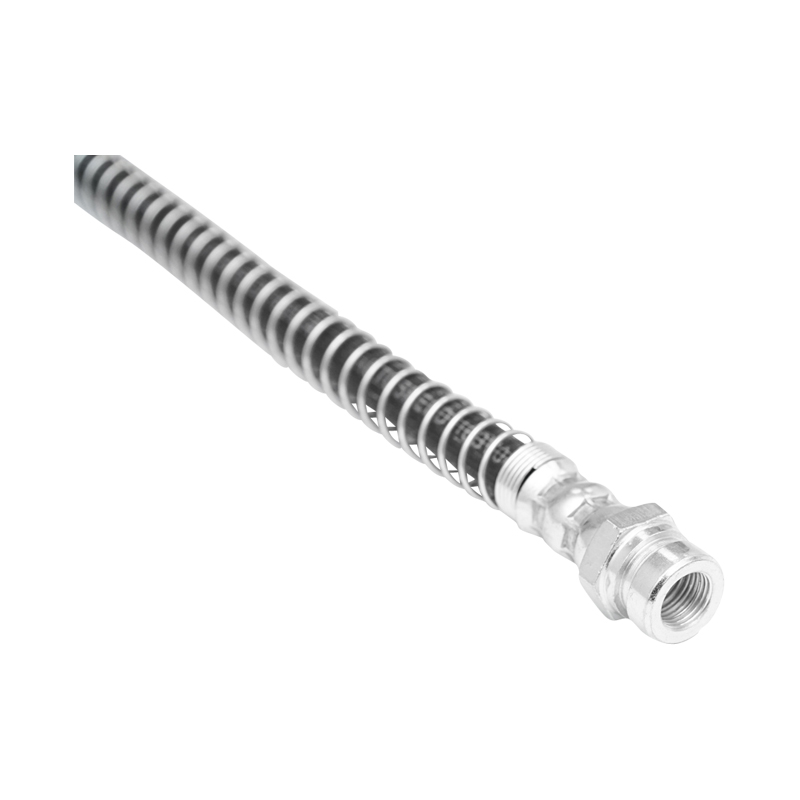 Furtun frana spate pentru Dacia Papuc 1.9D 6001545787