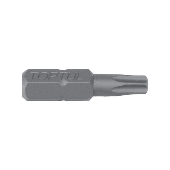 Bit torx T40 1/4 25 mm