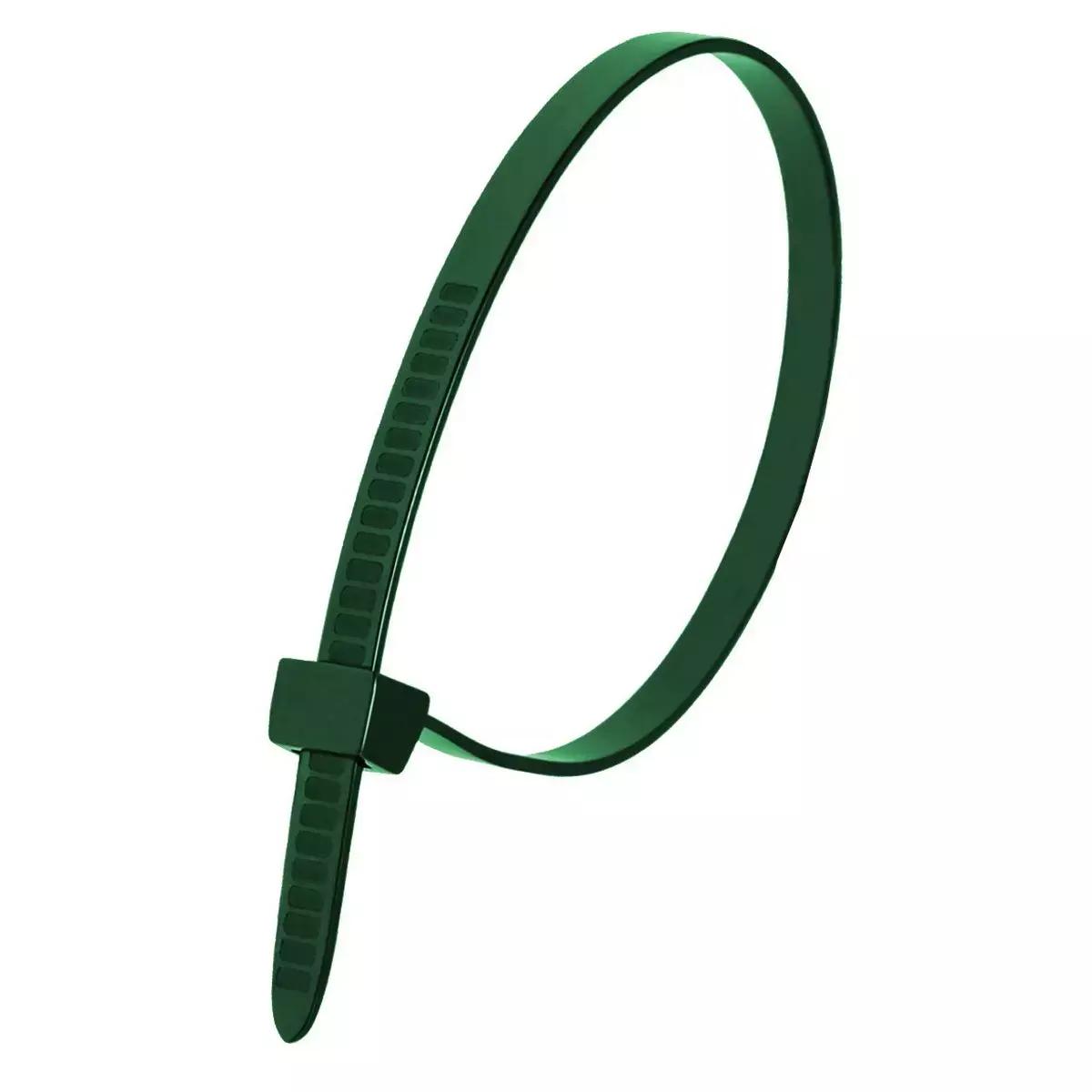 Coliere din plastic verde 2,5x200mm 100buc.