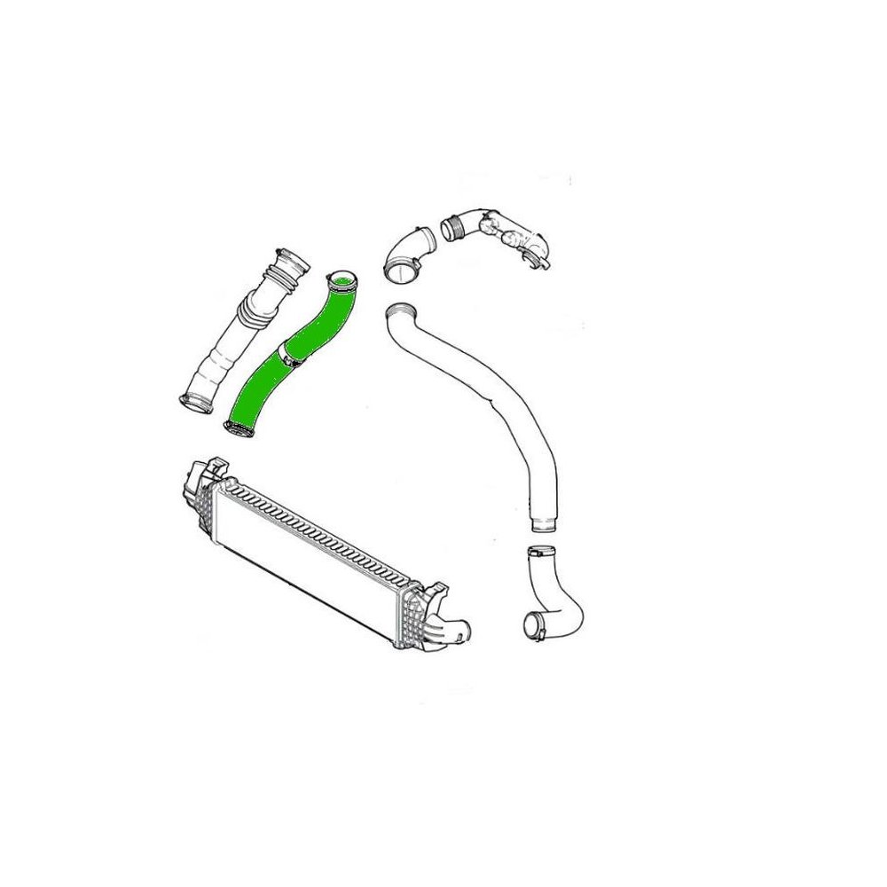 Furtun intercooler, supraalimentare Ford Focus C-Max 2003-2007, Focus 2004-2011, Volvo C30 2006-2012, S40/V50 2004-2012, motor 1.6 TDCI, 1.6 D, Material : Cauciuc, Diametru interior [mm] : 49/49, 1231906; 1252691