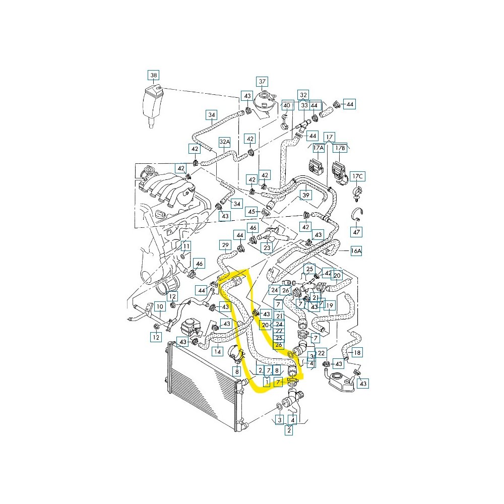 Furtun radiator racire Audi A3 1996-2003, Seat Leon 1999-2005, Toledo 1999-2005, Skoda Octavia 1996-2010, Vw Bora 1998-2005, Golf 4 1997-2003, motor 1.6, 1.8, 1.8 T, 1.9 TDI, 2.0, Material : Cauciuc, Diametru interior [mm] : 35, 1J0122051B; 1J0122051H