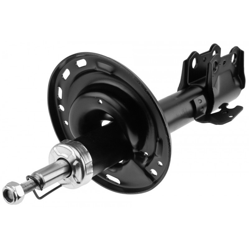 Amortizor fata Lexus Rx 2008-2015, Stanga, 4852048280