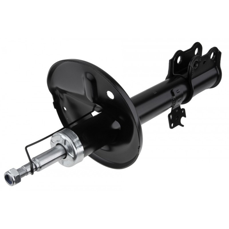 Amortizor fata Toyota Rav 4 2000-2005, Stanga, versiune 5 Drzwi, 4852042080