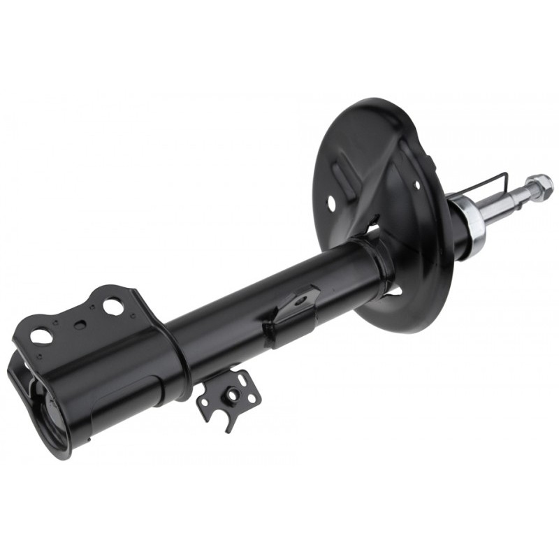 Amortizor fata Toyota Rav 4 2000-2005, Stanga, versiune 5 Drzwi, 4852042080