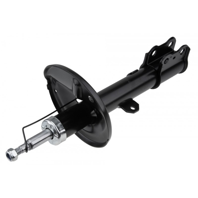 Amortizor fata Toyota Rav 4 2000-2005, Dreapta, versiune 5 Drzwi, 4851042080