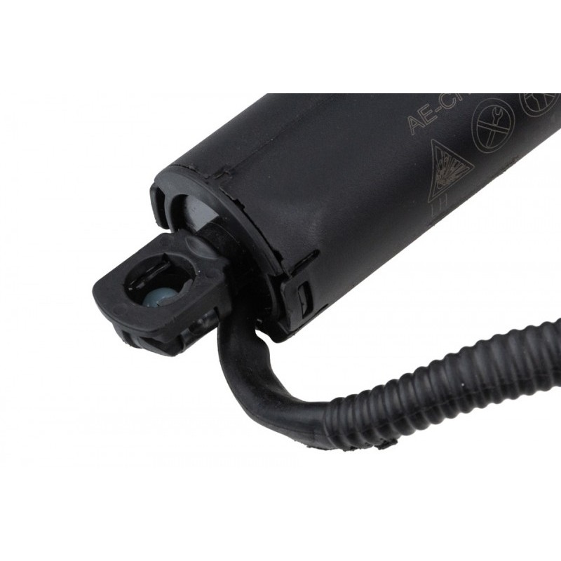 Amortizor portbagaj Ford Mustang Mach-E 2019-, Stanga, LJ8BR402A55AC