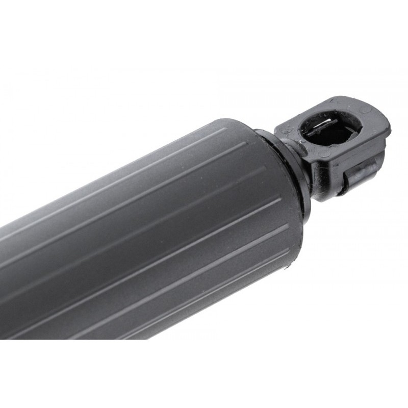 Amortizor portbagaj Ford Mustang Mach-E 2019-, Dreapta, LJ8BR402A54AC