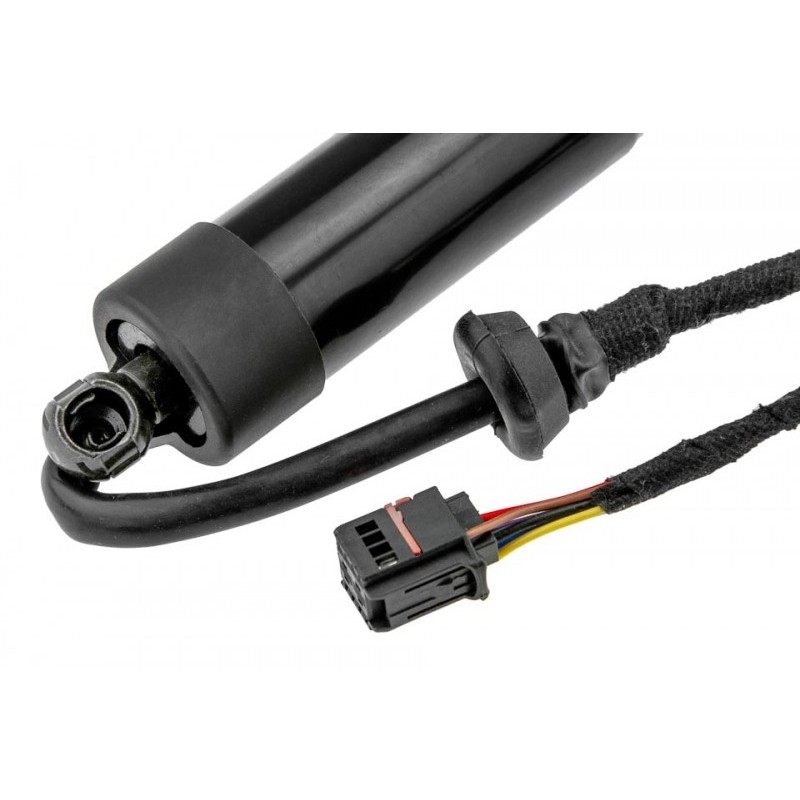 Amortizor portbagaj Ford C-Max, Grand C-Max 2010-, Stanga-, pentru vehicule cu haion cu deschidere Automata, AM51-U404C85AJ