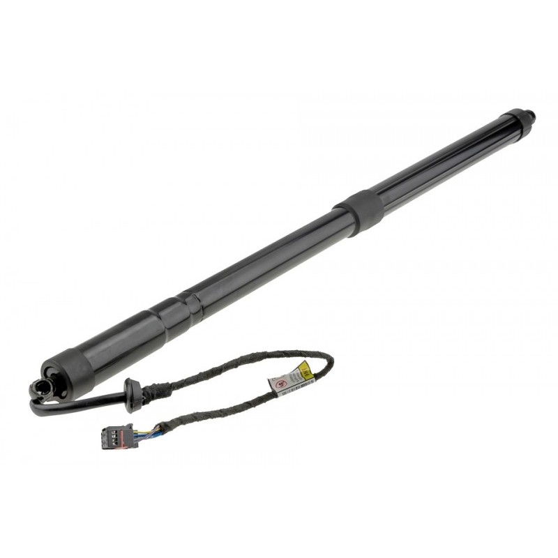 Amortizor portbagaj Ford C-Max, Grand C-Max 2010-, Dreapta, pentru vehicule cu haion cu deschidere Automata, AM51-U404C84-AJ