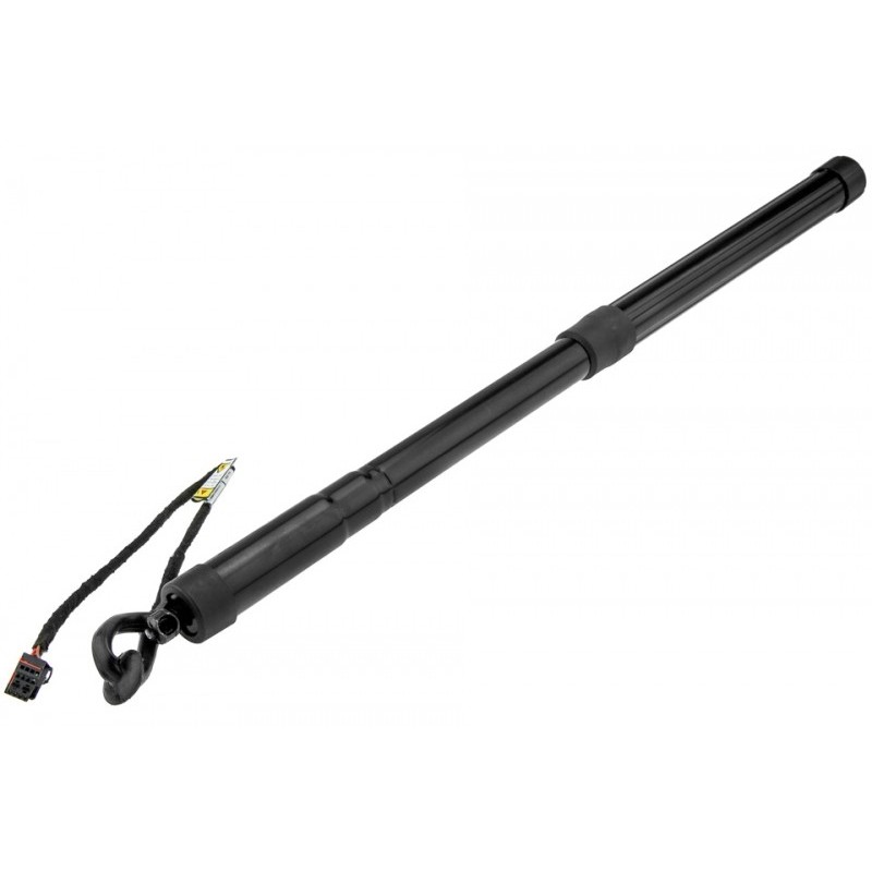 Amortizor portbagaj Range Rover Evoque 2011-, Stanga, Dreapta, pentru vehicule cu haion cu deschidere Automata, LR025444
