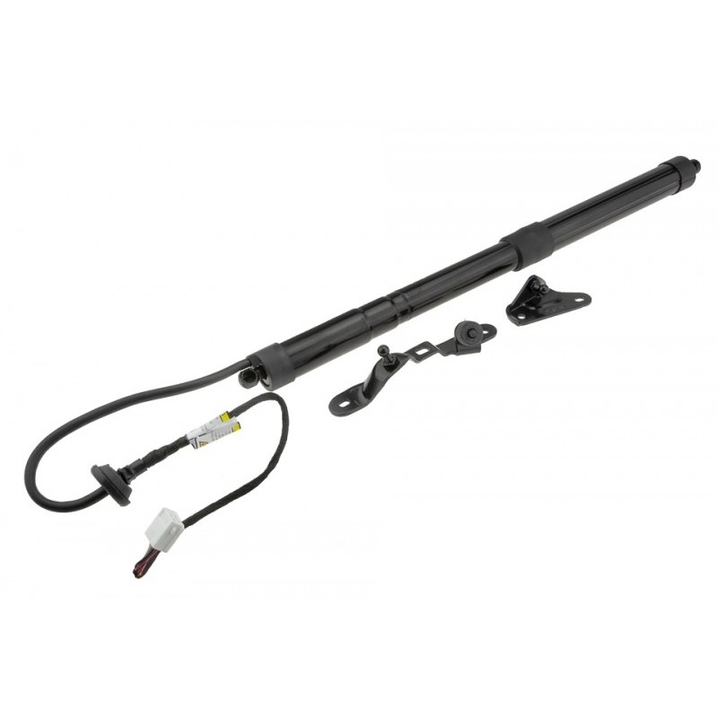 Amortizor portbagaj Toyota Rav4 4 2012-2018, Stanga-, pentru vehicule cu haion cu deschidere Automata, 6892009010