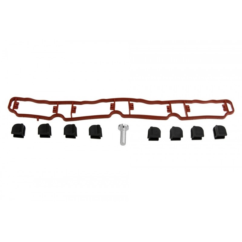 Capace clapete galerie admisie Audi A3 2.0tfsi 2004-, A3 S3 Quattro 2006-, A4, A4 Avant 2.0tfsi 2004-, A6, A6 Avant 2.0tfsi 2006-, Tt 2.0tfsi 2006-, Seat Exeo 2.0tfsi 2009-, Leon 2.0tfsi 2006-, Skoda Octavia 2 2.0rs 2005-, Vw Golf 5 2.0gti 2004-, Go,