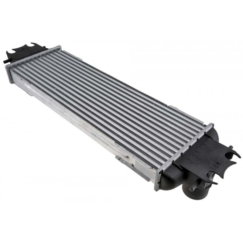Intercooler Nissan Primastar (01-) Dci, Vivaro A (01-014) 1.9 Dti, Trafic 2 (01-2006 ) 1.9 Dci (Diesel), 14496-00QAA