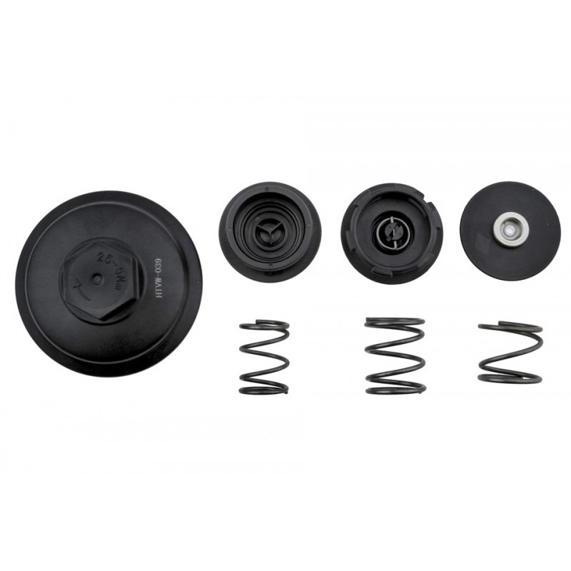 Capac carcasa filtru ulei Vw Passat B6 1.9, 2.0 2005-, Golf 5 1.9, 2.0, 6 2003-, T5 1.9 Tdi 2003-, Audi A4 B8 2.0 Tdi 2008-, A6 2.0 2004-, Skoda Octavia 2 1.9, 2.0 2004-, 045115433B