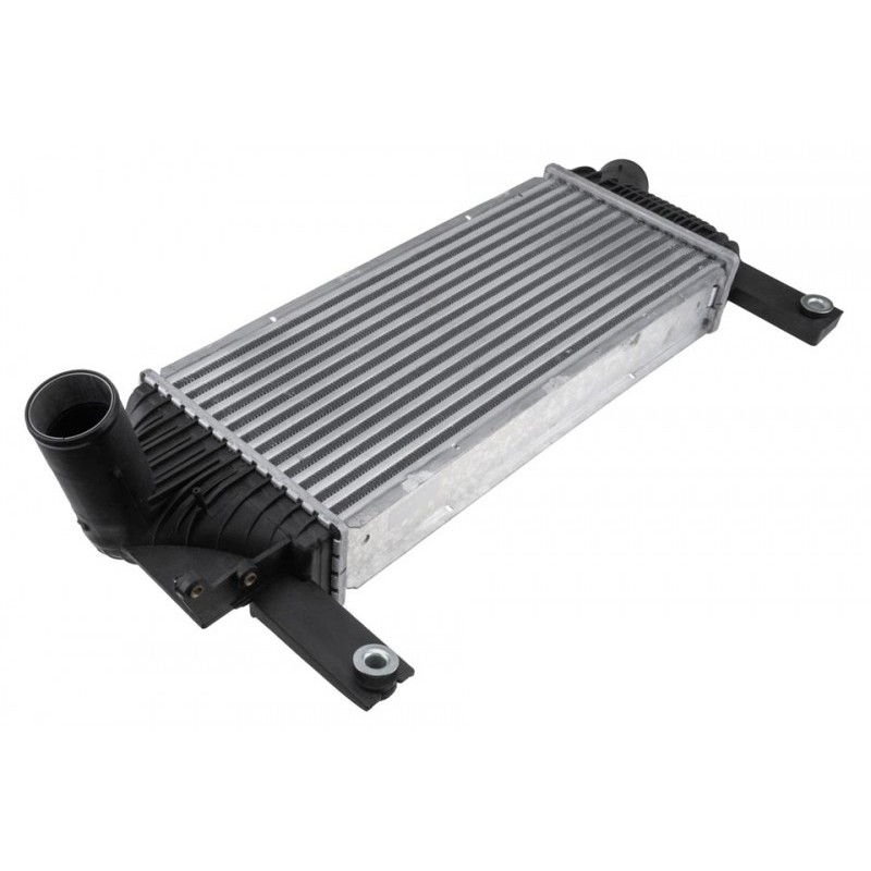 Intercooler Nissan Navara 2 (D40) (05-) 2.5 Dci, Pathfinder (05-) 2.5 Dci, 14461-EB360