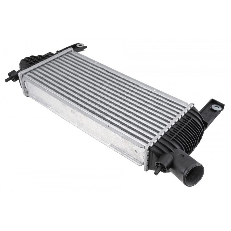 Intercooler Nissan Navara 2 (D40) (05-) 2.5 Dci, Pathfinder (05-) 2.5 Dci, 14461-EB360