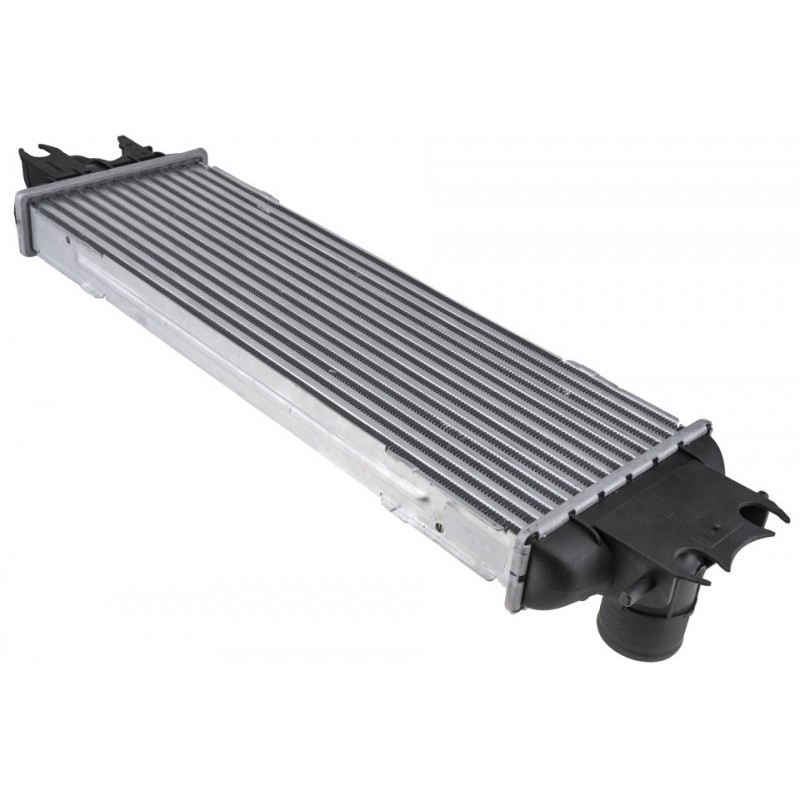 Intercooler Nissan Primastar (02-) 2.5 Dci, Vivaro (01-) 2.5 Dti, Trafic 2 (01-) 2.5 Dci (Diesel), 1449600QAB