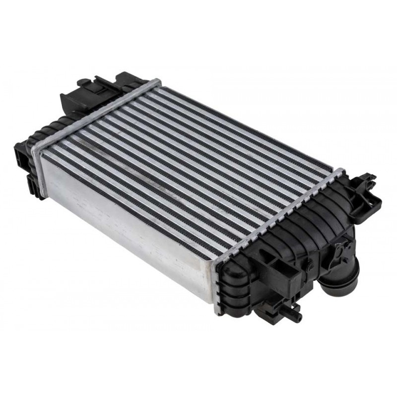 Intercooler Opel Meriva B (10-14) 1.3 Cdti (Diesel), 1302142
