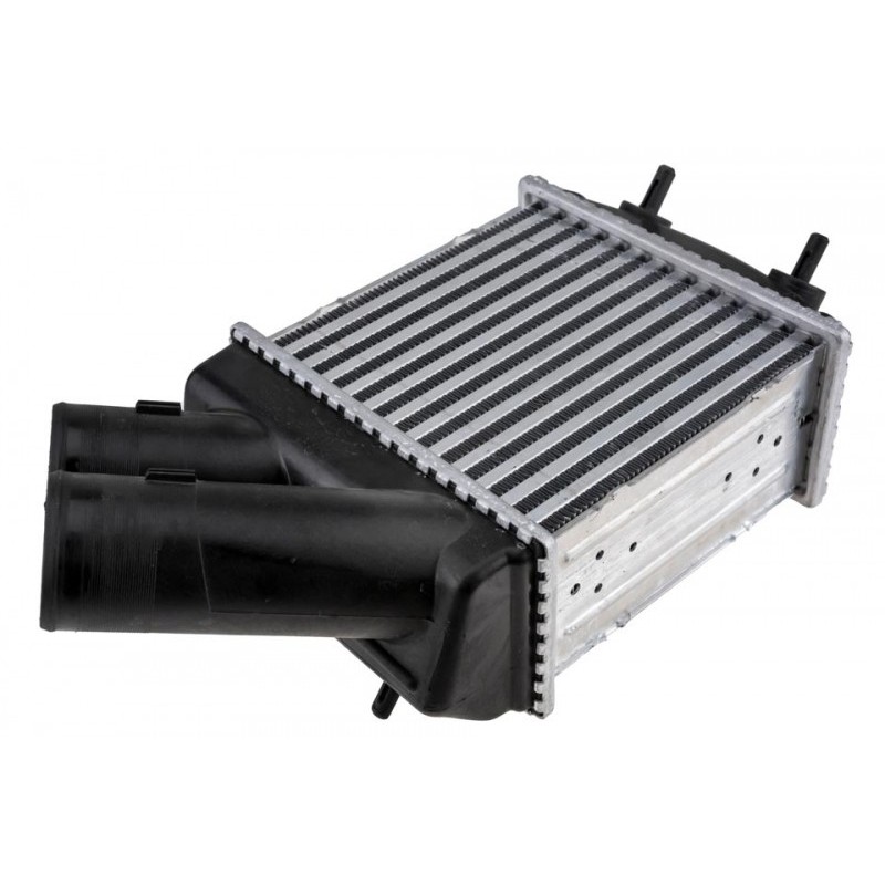 Intercooler Renault Megane, (95-) 1.9 Dci, Scenic, (96-) 1.9 Dci (Diesel), 7700838130