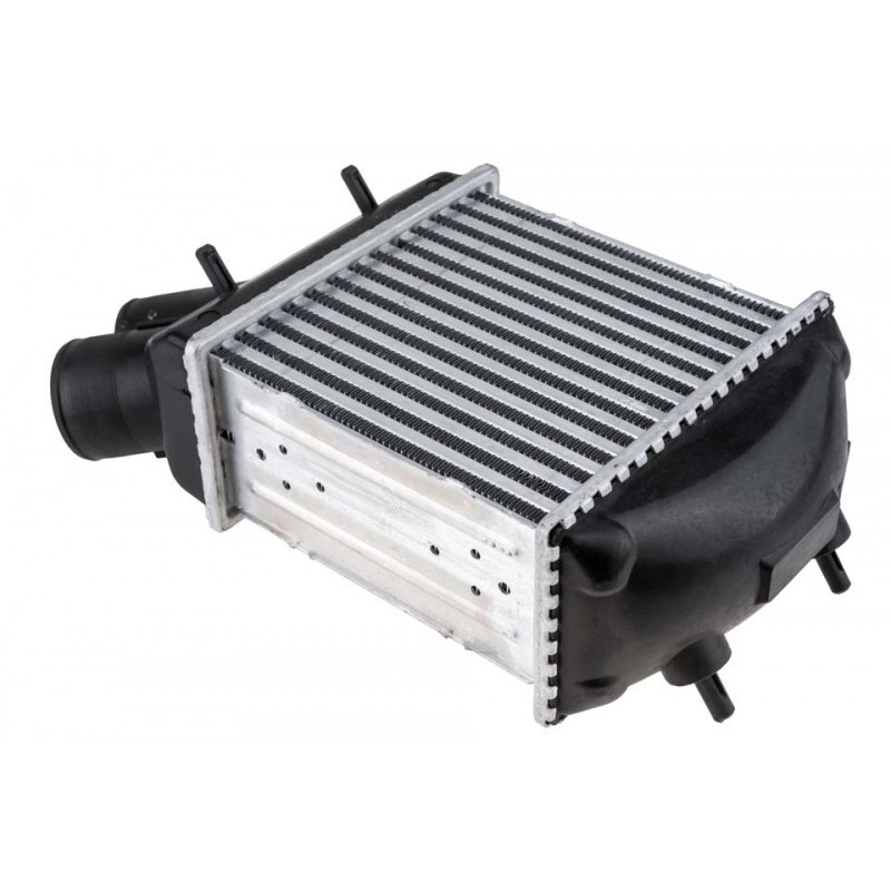 Intercooler Renault Megane, (95-) 1.9 Dci, Scenic, (96-) 1.9 Dci (Diesel), 7700838130